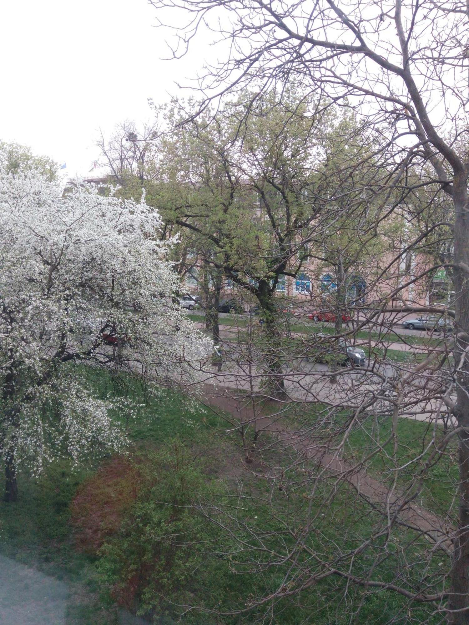 Квартира Студія В Центрі Міста Філармонія Khmelʼnytsʼkyy Dış mekan fotoğraf